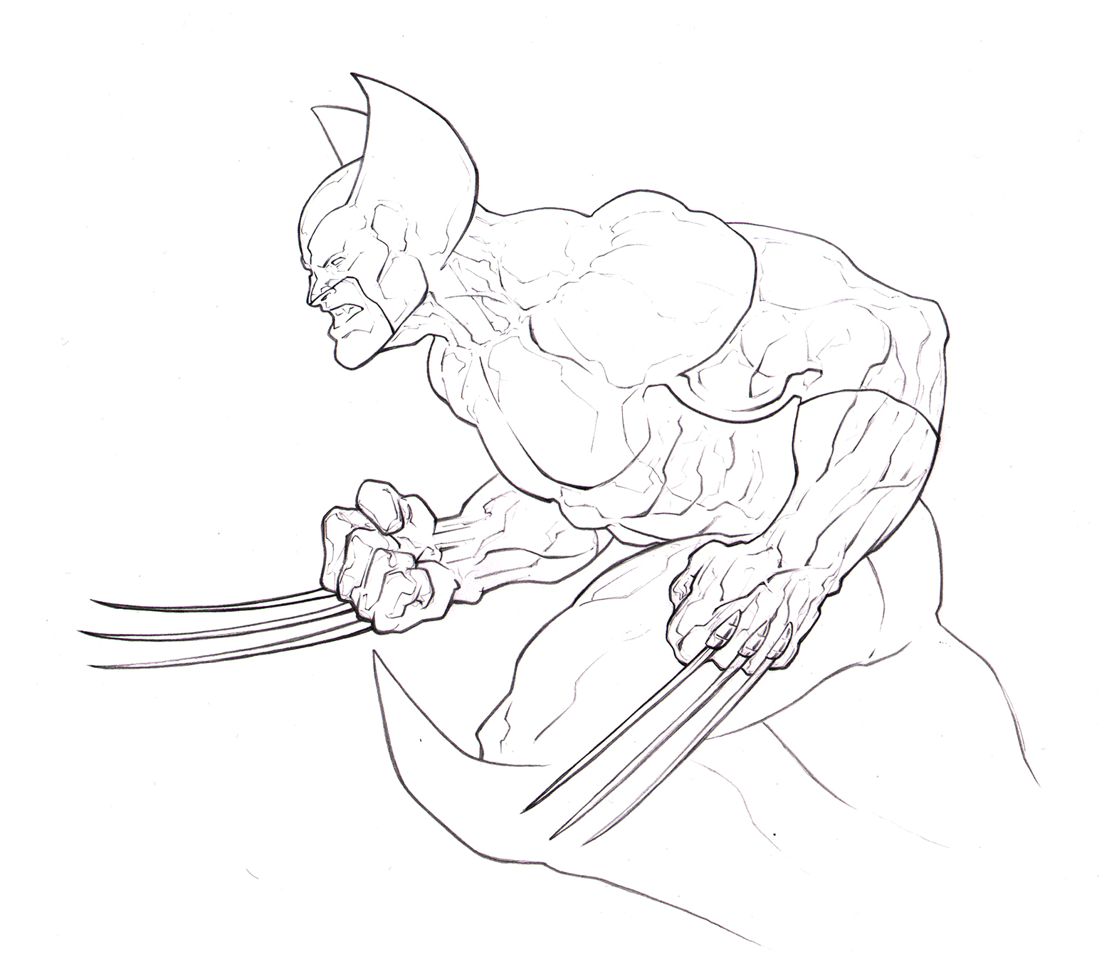 Wolverine